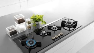 The hob: what is it and how to choose?