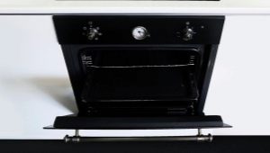 Tips voor het kiezen van Zigmund & Shtain ovens