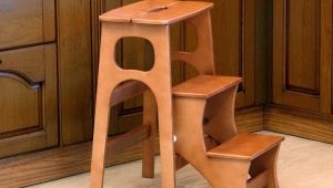 Stolice za ljestve: namjena, značajke dizajna, savjeti za odabir