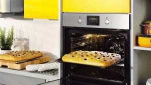All about gas ovens