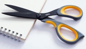 Stationery scissors: description and rules for working with them