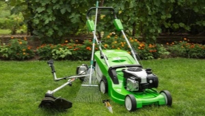 Is it better to choose a trimmer or a lawn mower?