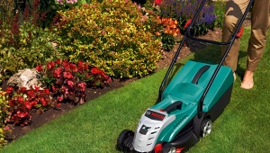 Bosch lawn mowers: pros, cons and popular models