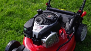 Sekačky na trávu s motorem Briggs & Stratton: vlastnosti, typy a použití