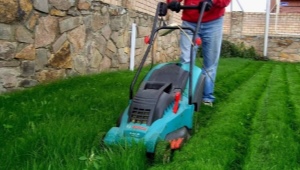 Mulching lawn mowers: what it is, types and rating