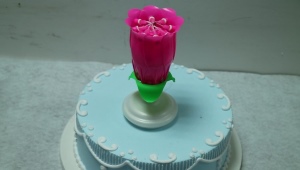 Musical cake candles: varieties and tips for choosing