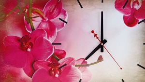 Horloge murale-image: variétés et critères de sélection