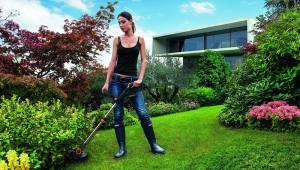 Grass trimmers: types, ratings and choices