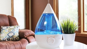 Scent humidifiers: an overview of the varieties and tips for choosing