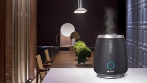 Timberk air humidifiers: features and popular models