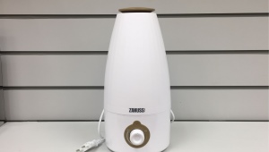 Humidifiers Zanussi: pros and cons, model range, selection, operation