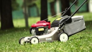 How to start a lawn mower correctly?