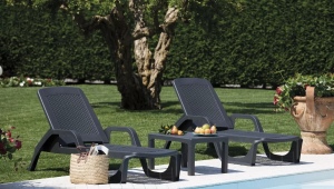 Plastic sun loungers for summer cottages: varieties, recommendations for choosing