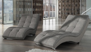 Lounger chair: features, models and choices