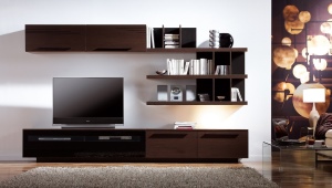 Möbel im modernen Stil für einen Fernseher: Funktionen, Typen und Auswahlmöglichkeiten
