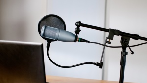 Supporti per microfono Crane: caratteristiche, panoramica del modello, criteri di selezione
