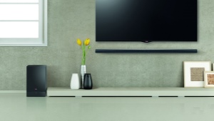 LG soundbars: features, selection and operation