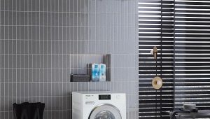 Machines à laver de tailles standard: caractéristiques et aperçu des modèles