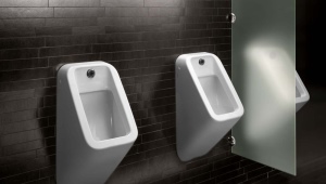 Sensorische Urinale: Funktionen und Varianten