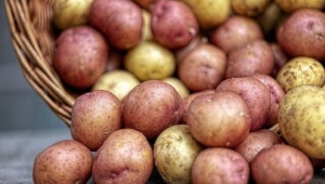 Siderata na brambory
