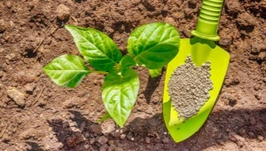 Tipi di fertilizzanti al fosforo e loro uso