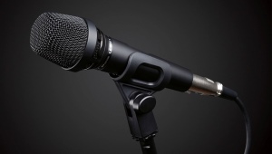 Kardioidní mikrofon: funkce a nejlepší modely