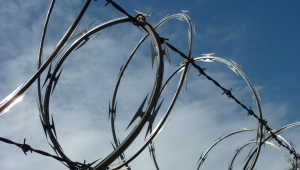 Varieties and purpose of barbed wire