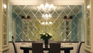 All About Mirror Panels
