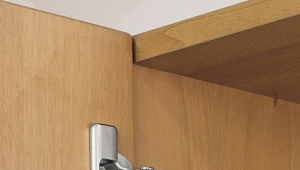 Varieties and selection of kitchen hinges