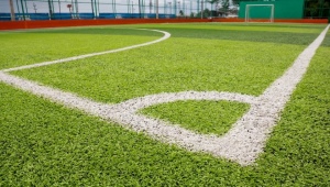 Beschreibung und Sorten von Rasenflächen für ein Fußballfeld