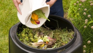 alles over compost