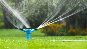 All about watering your lawn