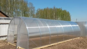 Greenhouses made of polycarbonate on a timber base