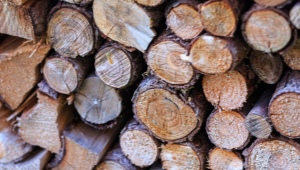 Welche mechanischen Eigenschaften hat Holz?
