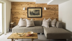 All about decorative boards