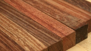 All about wood species