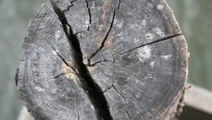 关于木材的缺陷