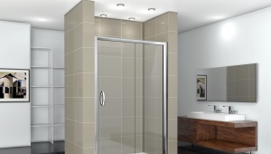 Choosing shower doors in a niche