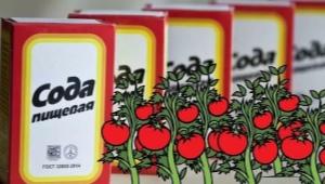 Comment utiliser le bicarbonate de soude pour les tomates?