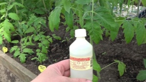 Ammoniak für den Garten und Gemüsegarten