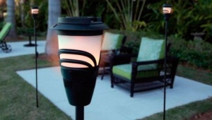 All About Outdoor Mosquito Traps
