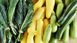 Hvordan adskiller zucchini sig fra zucchini?