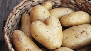 Hoe aardappelen in een appartement te bewaren?
