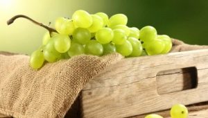 Come conservare l'uva?