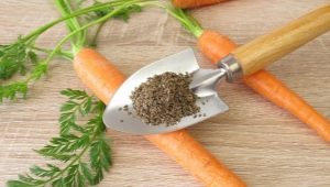 Wie man Karottensamen für eine schnelle Keimung einweicht?