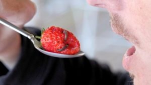 Hvilke orme kan være i jordbær, og hvordan kan man slippe af med dem?