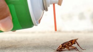 Gennemgang af de mest effektive midler mod kakerlakker