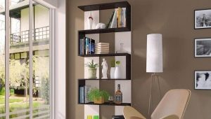 Varieties of shelving for the home and their choice