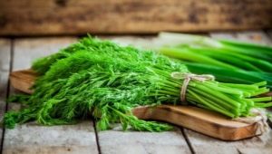 Hvad er forskellen mellem dild og fennikel?