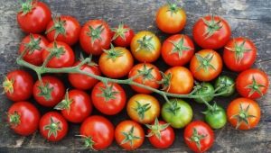 All about cherry tomatoes